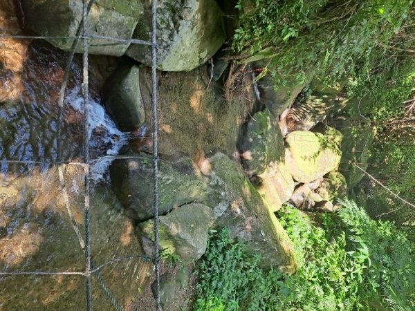 20230911淡蘭古道中段：五分山步道-暖東舊道2446830