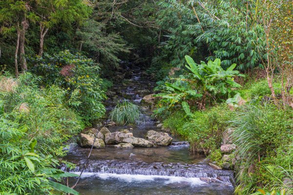 [宜蘭]鵲子山2932522