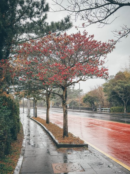 2026 偶來小路437公里認證3028717