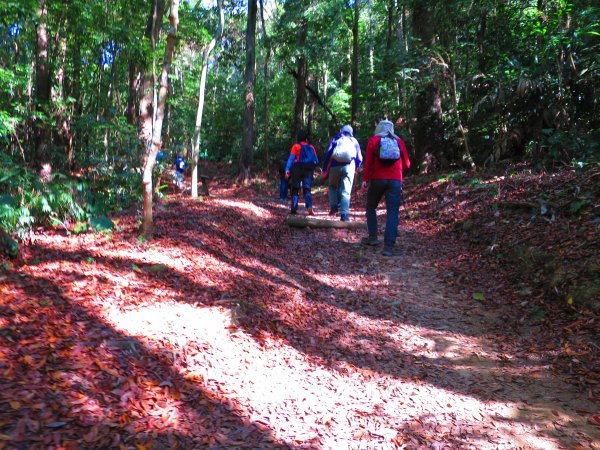 愛上登山的理由-馬那邦山賞楓去483191