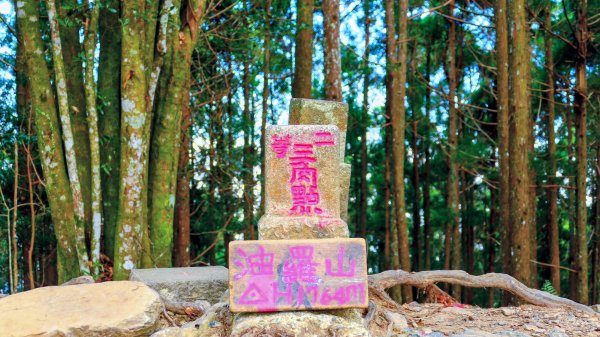 油羅山(一上三下)2959163