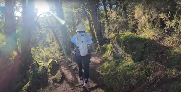 塔塔加五連峰2831414