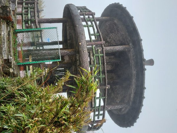 小油坑～七星山～冷水坑～擎天崗1940748