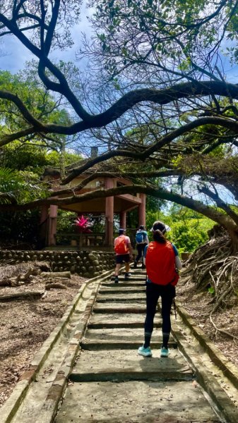 瑞芳四秀/瑞芳石梯坑古道-苦命嶺（紅毛山）2515170