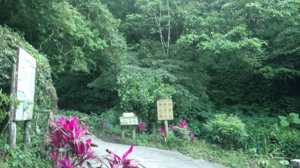 聖母登山步道O型走332318