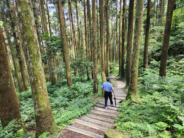 小百岳No.22⛰東眼山2568798