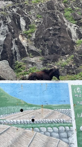 蘭嶼三天三夜-紅頭山小百岳完百小旅行2752624