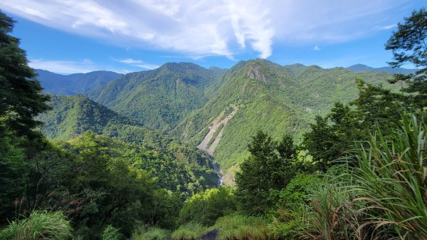 上帝的部落司馬庫斯神木群步道2176310