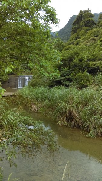 滑瀑岩洞、溪水清澈的基隆暖東峽谷步道974285