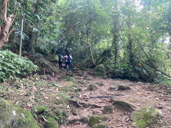 五指山登山步道2293186