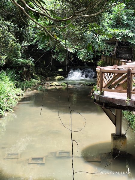 圓覺寺步道→新福本坑→碧湖步道→碧山公園→國立臺灣戲曲學院→碧湖公園→大港墘公園【臺北健走趣】2849252