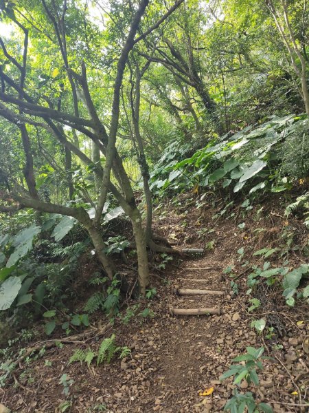 微笑山線：【天上山系】烘爐地土地公段：南勢角山2959352
