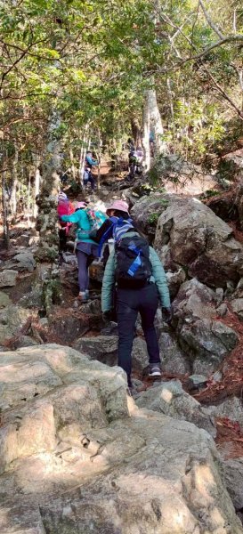 🌈1/10（六）鳶嘴捎來縱走✨FB：熊熊趴爬走🌈2980496