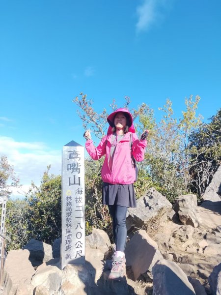 【忠の鳶嘴山】~無敵山景高清視野~202012061770763