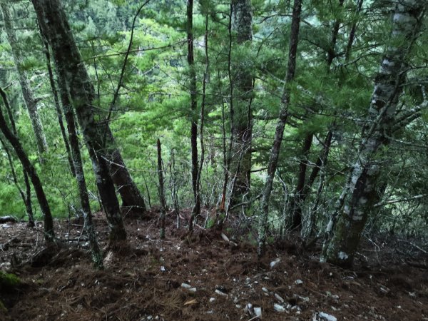 北一段(05/14)南湖南峰 2025_0906~132886486