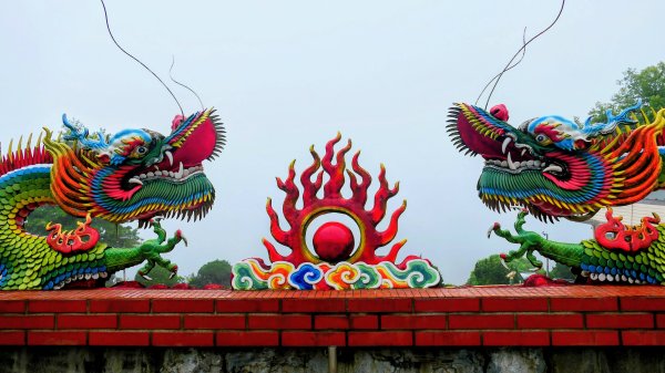 台灣藍鵲3074024