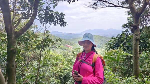 (姨婆趴趴走)第五十集:新北樹林大同山、青龍嶺、大棟山諸峰連走2751609