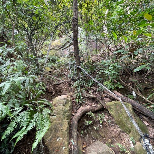 北市-劍潭山親山步道-通北街165巷起登1950444