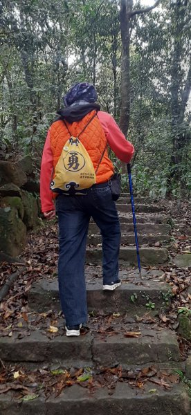 大崙頭山1299807
