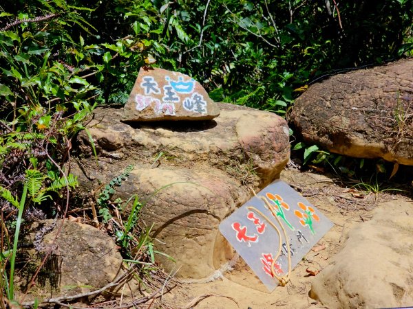 (二格山系)皇帝殿稜線-2025微笑山線大縱走尋寶集章任務2863492