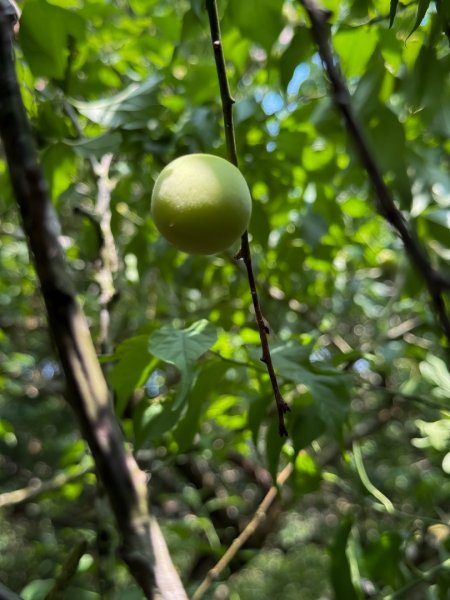 風空子山- 一睹南化水庫風景2771386