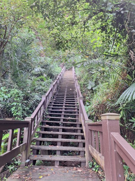 泰安登山步道+七塊山O型走202409252607297