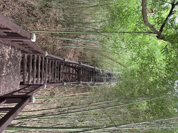 后里觀音山 鳳凰山2816256