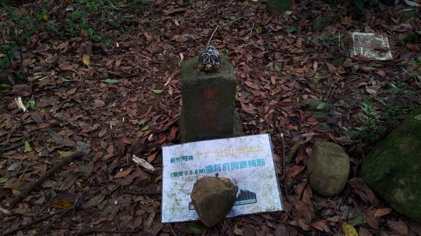 2026樟之細路 | 第二大段 | 關西~橫山3041821