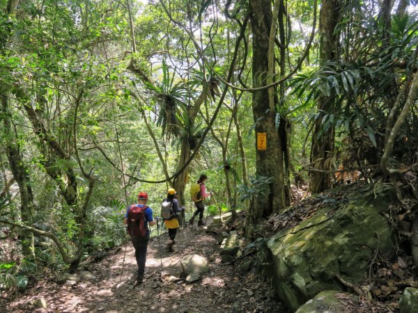 虎山 健行 溫泉 美食一日行1638226