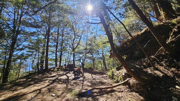 巒安堂-西巒2685970