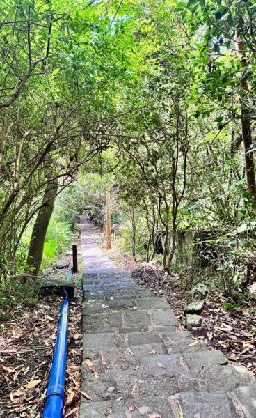天母水管路走陽明山尖山2881352