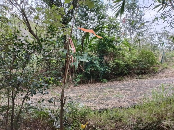 基隆市三層山+湳子大崙+淡基橫斷古道+面桶寮土地公2982266