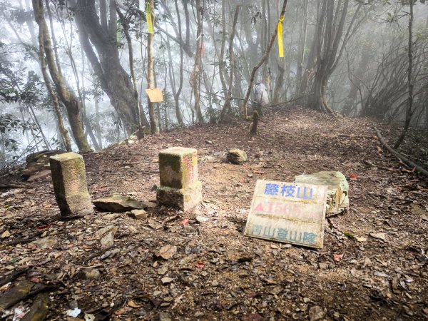 2026-02-08 藤枝山2998441