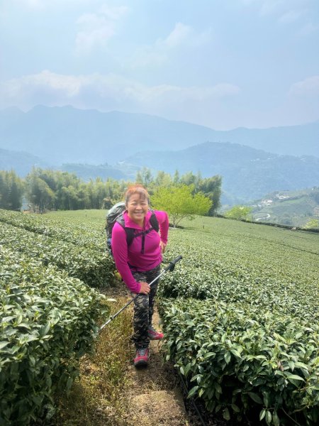 月眉山、海鼠山、生毛樹山、野薑花步道、進學古道3020761