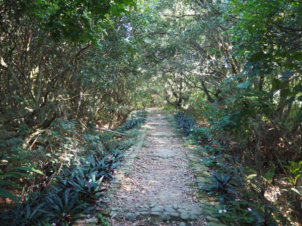 彰化隴頂古道至鳳山寺O型20181216483039