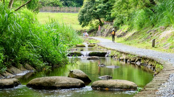 白石湖沒有百合花。晶片關稅2781567
