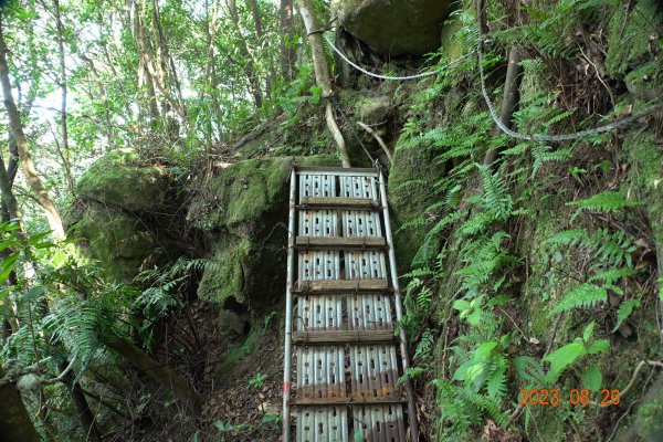 基隆 頂寮山、龍門山、五分山、頂子寮山2265938