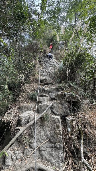 20260127小百岳三腳南山2990280