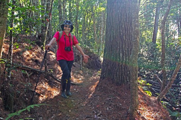 屯野生台山、石麻達山連走497636