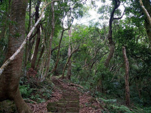 紗帽山上被遺忘的史蹟418326