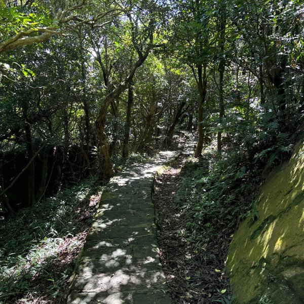 大崙頭山、大崙尾山2922665