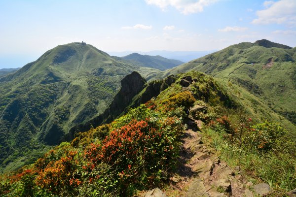 茶壺山O型883009