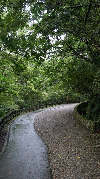 滿月圓國家森林步道1041864