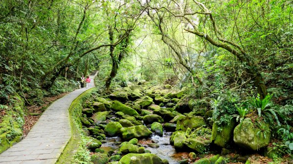 白石湖沒有百合花。晶片關稅2781574