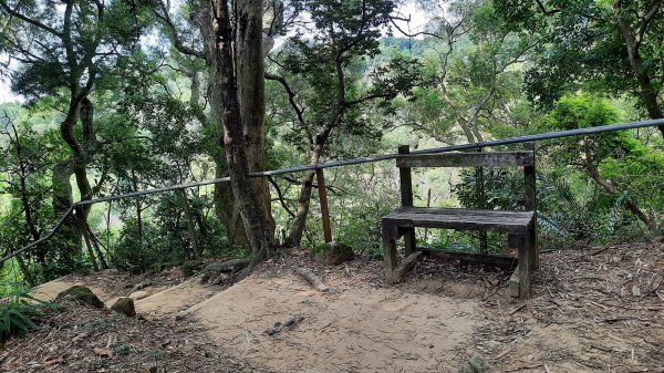 《台中》消暑冰淇淋｜三崁頂健康步道(北坑步道)202208131803464