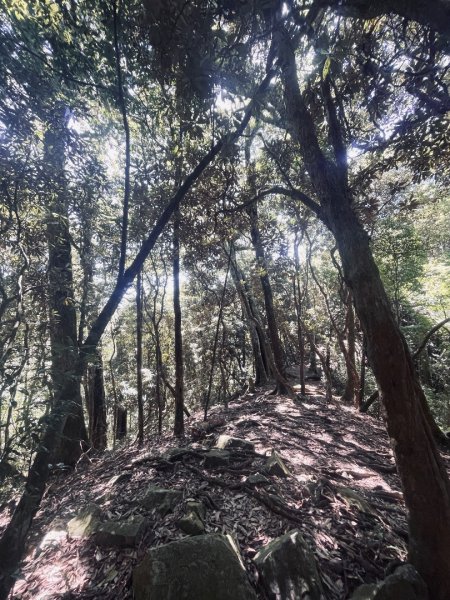 鳶嘴山 2025 09/212892206