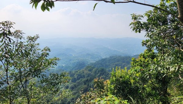 郡大山，郡大山北峰，望鄉山，白冷山，頭嵙山，黑山北峰，大坑4號，大坑3號，挑水古道，快官健行步道2299304