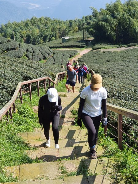 【雲嘉】後棟山連走大二尖山1478455