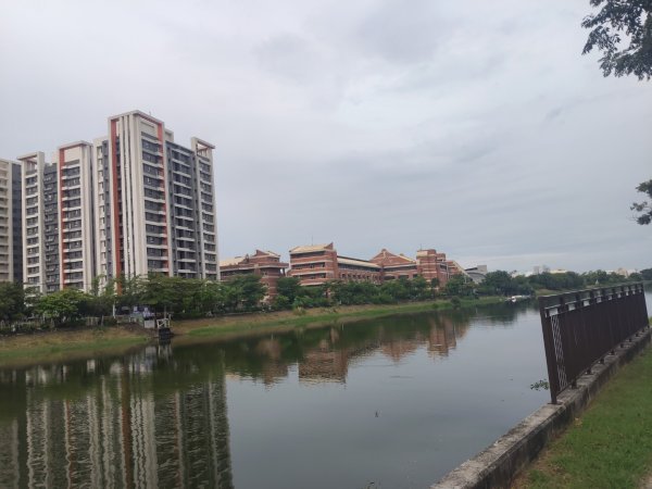 山海圳【內海之路：第一段】台江國家公園3090716