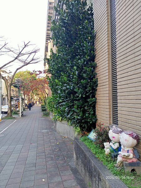 【臺北大縱走4】風櫃嘴→雙溪溝古道→五指山古道→大崙頭山北面步道→許願步道→圓覺寺步道→大溝溪→大湖2469195